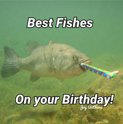 Happy Birthday Fishing Quotes, Fishing Birthday Quotes, Happy Birthday Fishing Funny, Fishing Meme, Fish Meme, Happy Birthday Fishing, Birthday Fishing, Happy Birthday To Her, Funny Fish