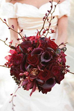 Bouquet in red. Great arrangement for my wedding planning friends. Red Flower Bouquet, Red Bouquet, Winter Wedding Flowers, Trendy Flowers, Red Burgundy, Burgundy Wedding, Red Wedding, Wedding Wire, Red Flowers