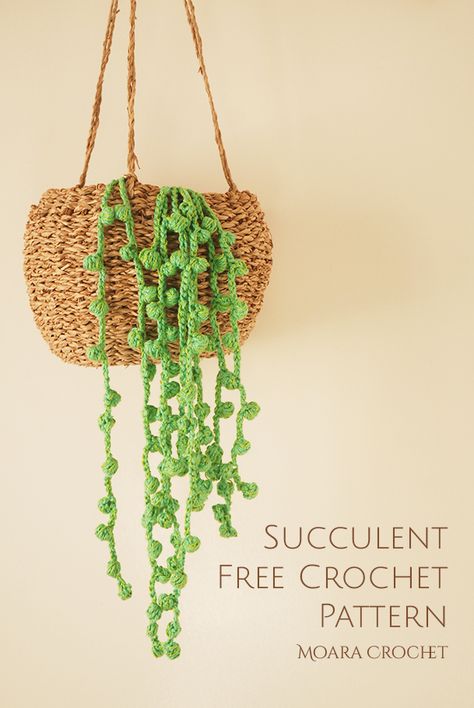 Crochet Hanging Vines Free Pattern, Crocheted Succulents Free Pattern, Free Crochet Pattern Plant, Crochet Patterns Plants, Crochet Plant Patterns Free, Crocheted Plants Free Pattern, Crochet String Of Pearls Free Pattern, Free Plant Crochet Patterns, Succulent Crochet Free Pattern