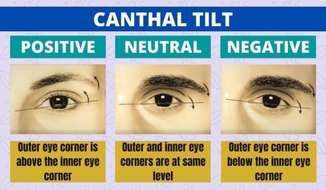 you can always look better Canthal Tilt, Eye Corner, Medical Transcription, Face Reading, Script Writing, Ancient Knowledge, Beauty School, Transcription, Writing Tips