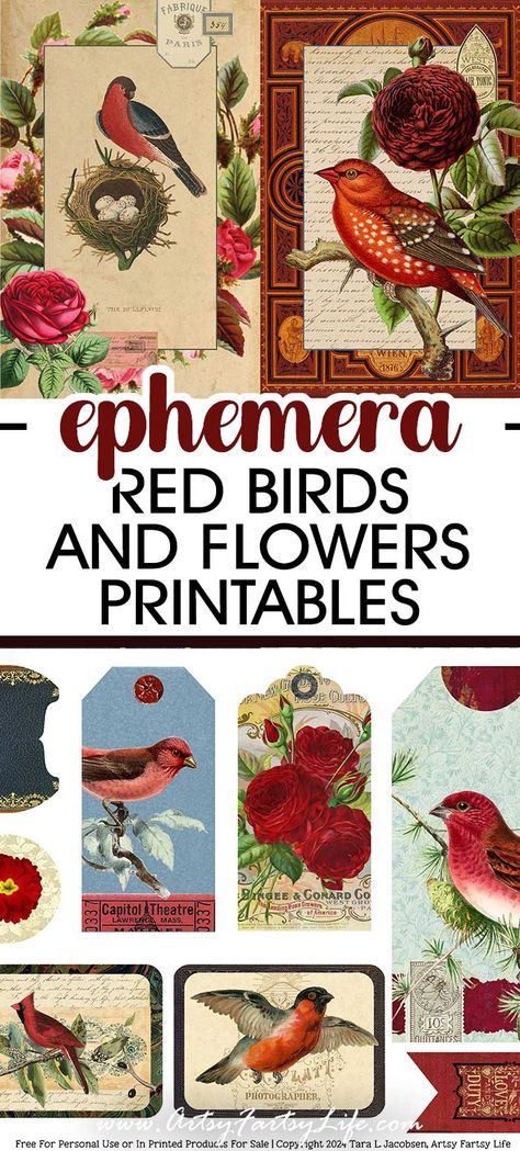 Red Birds and Flowers Ephemera - Free Printable Ephemera Free Daisy Printables, Free Vintage Printables Ephemera, Free Junk Journal Vintage Printables, Ephemera Free Printables, Free Printable Ephemera, Vintage Labels Printables Free, Bird Printables, Collage Printables, Digital Ephemera