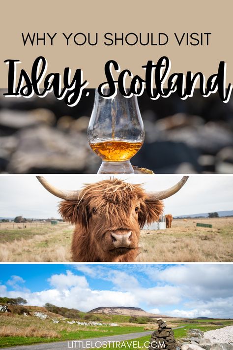 Three images in one pin. Top of a glass of whisky. Middle of a highland cow. Bottom of a road through the countryside. Isle Of Islay Scotland, Isle Of Jura Scotland, Islay Scotland, Isle Of Jura, Scotland Itinerary, Scottish Holidays, Isle Of Islay, Sustainable Travel, Top Hotels