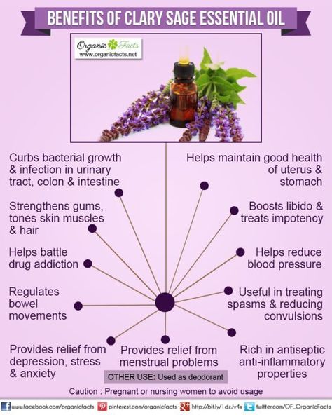 Health Benefits of Clary Sage Essential Oil | Organic Facts- Health benefits of Clary Sage Essential Oil can be attributed to its properties as an antidepressant, anticonvulsive, antispasmodic, antiseptic, aphrodisiac, astringent, bactericidal, carminative, deodorant, digestive, emenagogue, euphoric, hypotensive, nervine, sedative, stomachic and uterine substance. Clary Sage Essential Oil, Oil Remedies, Essential Oils Health, Sage Oil, Yl Essential Oils, Sage Essential Oil, Living Modern, Essential Oil Benefits, Living Essentials Oils