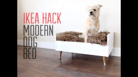 The Ultimate Collection of IKEA Hacks For Pets - The Cottage Market Ikea Hack Lit, Pet Crate Furniture, Ikea Dog, Modern Dog Bed, Ikea Cat, Cama Ikea, Bedding King, Dog Bed Modern, Dog Crate Bed