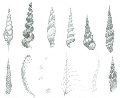 Shells and other items found in Liverpool World Museum, as inspiration for a unicorn horn design. Unicorn Horn Drawing Reference, Unicorn Horn Reference, Unicorn Horn Design, Unicorn Horn Drawing, Unicorn Horn Tattoo, Horn Drawing Reference, Horns Drawing References, Mythical Horses, Pin Inspiration