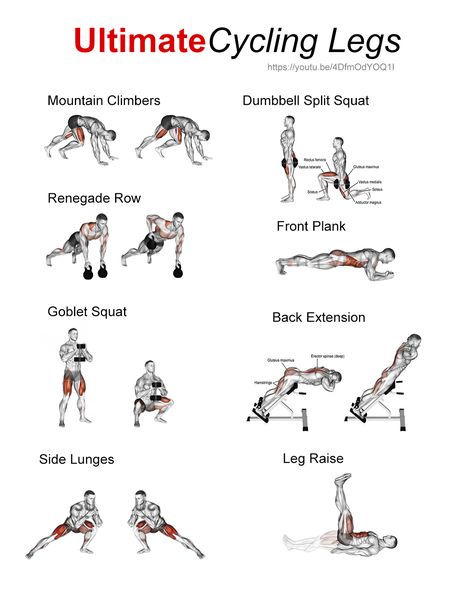 Cycling Exercises Strength Training, Thing Workout, Cycle Routine Bike Workouts, Workout For Cyclists, Exercises For Cyclists, Cycling Strength Training, Stationary Cycling Workout, Cycling Workout Plan, Strength Training For Cyclists