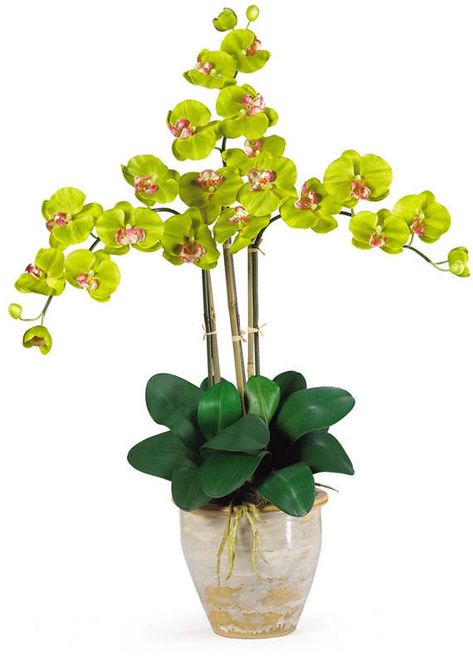 Silk Orchids Arrangements, Ceramic Vases Design, Orchid Flower Arrangements, Silk Orchids, Yellow Orchid, Plant Crafts, Orchid Plant, Orchid Arrangements, Flower Arrangements Simple