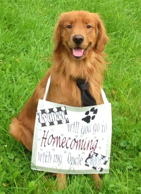 How to ask a girl to homecoming. Dress your dog up and make a sign. Died when Josh did this for me (: Prom Things, Prom Invites, School Dance Ideas, Promposal Ideas, Homecoming Signs, Prom Proposals, Cute Homecoming Proposals, Teen Prom, Asking To Prom