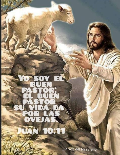 Jesús es el buen pastor Father Son Holy Spirit, Catholic Images, Christian Posters, Inspirational Quotes Wall Art, Jesus Is Coming, Motivational Picture Quotes, Blessed Quotes, I Know The Plans, Scripture Study