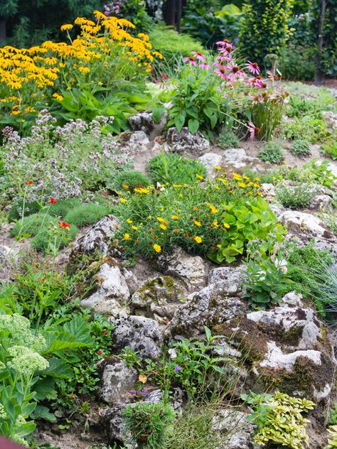 Rockery garden Rock gardens make brilliant features. They’re striking, low maintenance, easy to build with kids and look good all year round. Alpine plants are perfect if you’re pushed for space or want to create a stylish low-key area. What are alpines? Rockery Plants, Low Maintenance Garden Design, Rockery Garden, Alpine Garden, Rock Garden Design, Alpine Plants, Sloped Garden, Rock Gardens, Rock Garden Landscaping