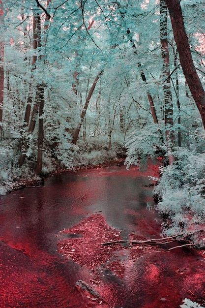 Red River Aesthetic, Blood In Snow Aesthetic, Teal And Red Aesthetic, Blood In The Snow, Blood In Snow, Blood Astethic, Blood On Snow, Blood Aesthetics, Blood River