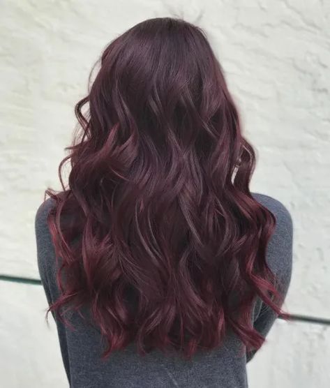 Hair With Brown Roots, Burgundy Brown Hair Color, Dark Maroon Hair, Dark Violet Hair, Wine Red Hair Color, Deep Burgundy Hair, Cinnamon Brown Hair, Burgundy Brown Hair, Raspberry Hair