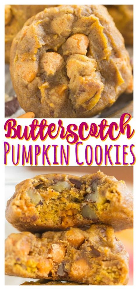 Pumpkin And Butterscotch Cookies, Pumpkin Butterscotch Chip Cookies, Pumpkin Cookies Butterscotch Chips, Pumpkin Butterscotch Bars, Pumpkin Cookies With Butterscotch Chips, Pumpkin Spice Chip Cookies, Butterscotch Pumpkin Cookies, Pumpkin Toffee Cookies, Pumpkin Butterscotch Cake