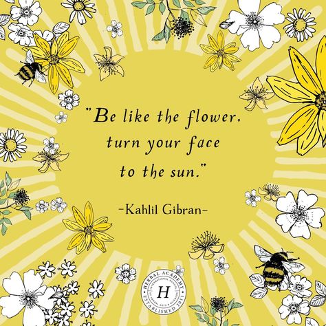 Summer Solstice Ritual, Herbal Academy, Herbal Education, Scorching Sun, Teaching Geography, Sun Tea, Camp Site, Kahlil Gibran, Summer Quotes