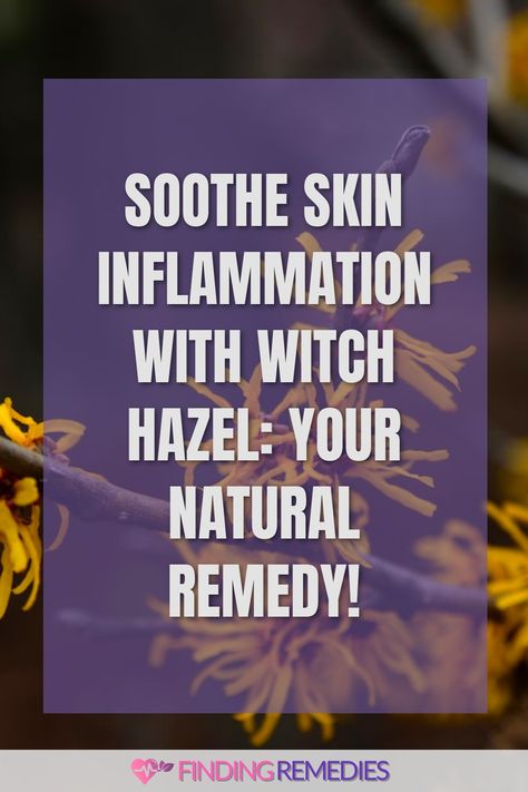 Soothe skin inflammation with Witch Hazel: Your natural remedy! Benefits Of Witch Hazel, Witch Hazel For Skin, Sunburn Skin, Mild Cleanser, Natural Organic Skincare, Acne Solutions, Natural Remedy, Skin Benefits, Itchy Skin