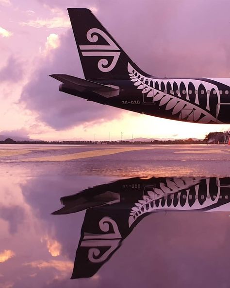 Air New Zealand, Passenger Aircraft, Passenger, New Zealand, Aircraft, Collage, Pins, Quick Saves, Instagram