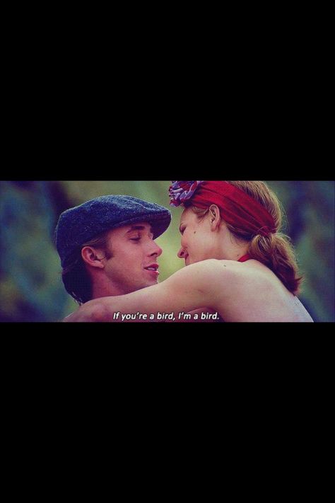 The notebook Mr Perfect, The Notebook, Movies Showing, Written By, We Heart It, Favorite Movies, Notebook, Lost, Couple Photos