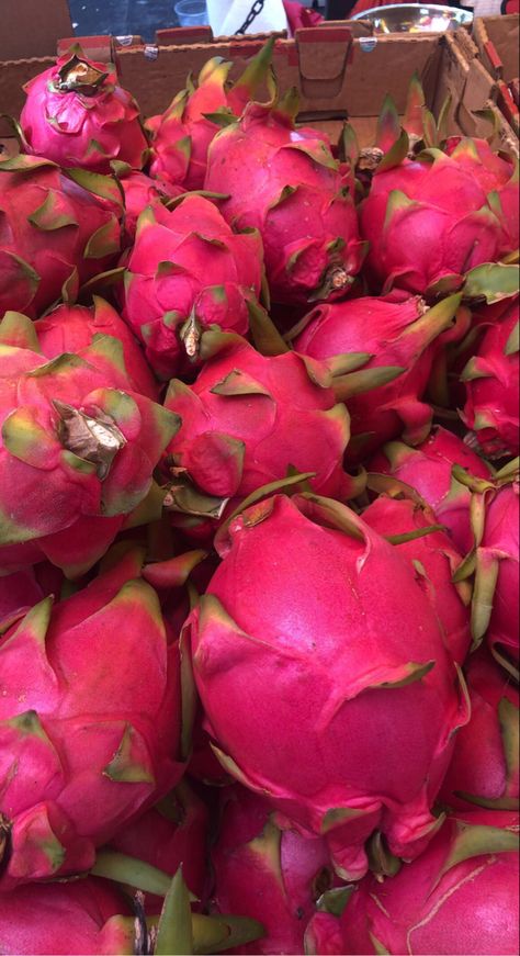 Dragon Fruit Aesthetic, Fruit Store, Iyo Sky, Best Freeze Dried Food, Dragon Fruit Plant, Ice Bear We Bare Bears, Buah Naga, Fruit Du Dragon, Farm Lifestyle