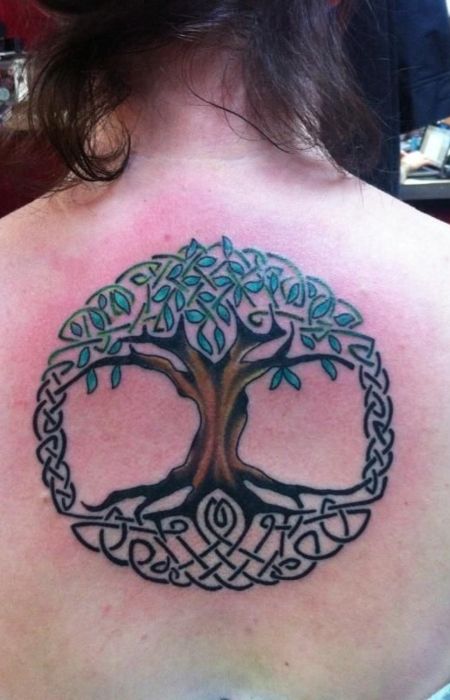 Celtic Tree Of Life Tattoo, Celtic Tree Tattoos, Women Tree, Tattoo Tree, Family Tree Tattoo, Tree Tattoo Designs, Best Tattoos For Women, Tree Of Life Tattoo, Celtic Tree Of Life