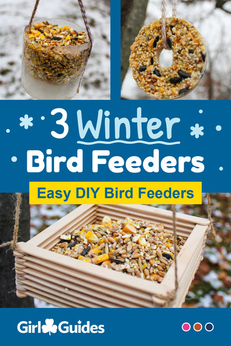 Help the birds! Kids will craft one, two, or three different bird feeders and watch the birds that visit throughout the winter. Sparks Activities, Cool Snaps Ideas, Winter Bird Feeders, Winter Birds, Diy Bird Feeder, Different Birds, Diy Birds, Winter Bird, Spring Nail Art