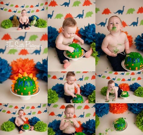 Dinosaur Smash Cake, Themed Cake Smash, Sisters Photography, Dinosaur Birthday Theme, Dinosaur Birthday Party Decorations, Dino Cake, Boy Cake, Dino Birthday Party, Dinosaur First Birthday