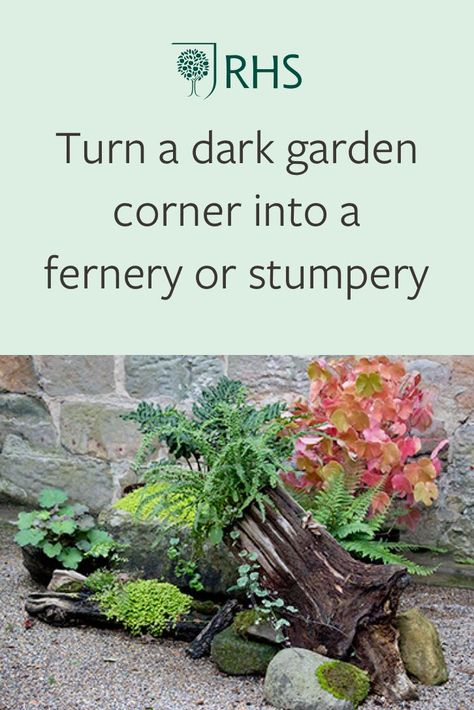 Two easy-to-do design ideas to make your garden beautiful - and wildlife friendly! Shady Garden Corner Ideas, Stumpery Garden Ideas Uk, Shady Garden Ideas Uk, Stumpery Garden Ideas, Wildlife Friendly Garden Ideas, Dark Corner Garden Ideas, Small Wildlife Garden Ideas, Wildlife Friendly Garden, Garden Wildlife Ideas