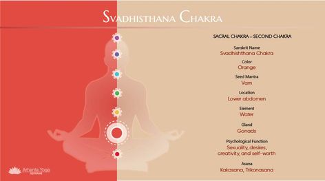 Understand the characteristics and properties of the Svadhishthana Chakra and how you can balance your Sacral Chakra with the help of meditation and yoga. Aura Layers, Chakra Guide, Study Yoga, Human Energy, Second Chakra, The Sacral Chakra, Sanskrit Names, Yoga Sutras, Chakra Colors