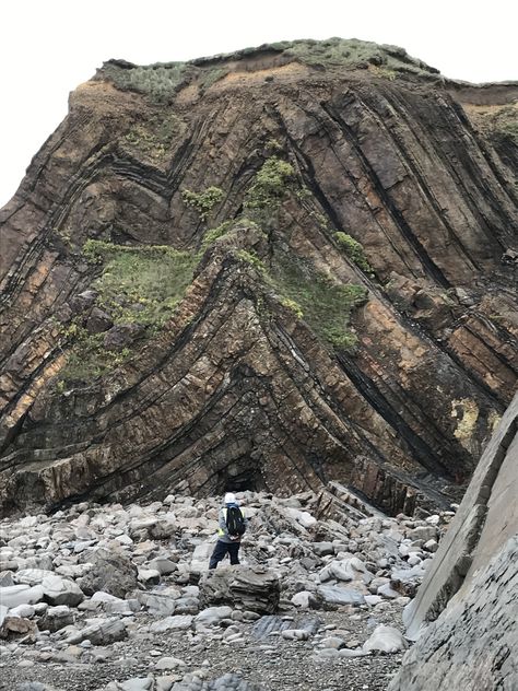 Fold Geology, Science Earth, Studying Aesthetic, Rocks And Fossils, Rock Textures, Geology Rocks, Plate Tectonics, Tourist Trap, Ancient Tree