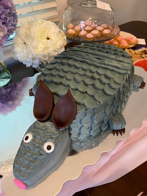 Armadillo Cake Steel Magnolias, Steel Magnolias Party, Armadillo Cake, Fair Cake, Dolly Party, Magnolia Cake, Decorating Desserts, Moms Birthday, Steel Magnolias