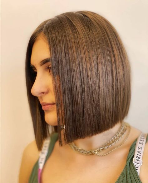 Bluntcut Bob Chin Length, Straight Bob Haircut, Sleek Bob Hairstyles, Classic Bob Haircut, Trendy Bob Hairstyles, Straight Hair Cuts, Wavy Bob Hairstyles, Brunette Color, Hair System