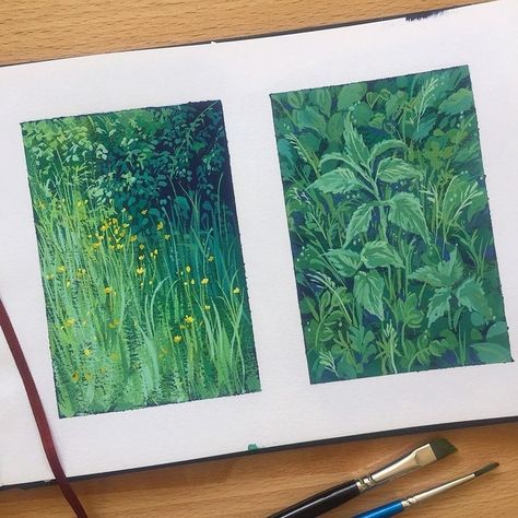 Sketchbook with two small gouache paintings of plants with leaves and wildflowers