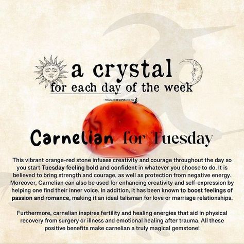 Magical Recipes Online on Instagram: "We need some confidence on Tuesday, day of Mars 🔥 https://www.magicalrecipesonline.com/2023/01/a-crystal-for-each-day-of-the-week.html #carnelian #crystalmagic #crystal #crystalhealing" Magical Recipes, Crystal Power, Crystal Healing Stones, Crystal Magic, Marriage Relationship, Online Food, Vibrant Orange, Each Day, Healing Stones