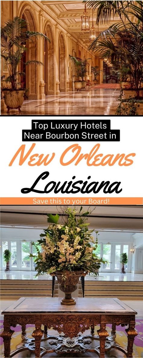 Luxury Hotels Near Bourbon Street in New Orleans (French Quarter) Welcome Amenities, Rooftop Yoga, French Quarter Hotels, Spa Retreats, Hotel Monteleone, Downtown New Orleans, Jazz Lounge, Astoria Hotel, New Orleans Hotels