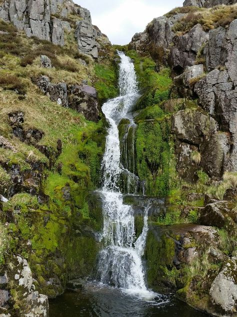 Probably the best route up the Cheviot from Langleeford – via Lambden Valley, College Valley and the Hen Hole – (13 miles) | MART IN THE HILLS Cheviot Hills, Adventure Game, Outdoor Swimming, Uk Travel, The Hills, Lake District, Autumn Trees, Durham, The Valley