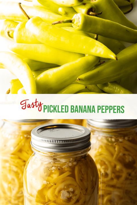 How to Pickle Banana Peppers - This easy recipe is great to make homemade pickles in the refrigerator or using traditional canning steps. Perky pickled banana peppers are perfectly palatable to pile onto your favorite savory dishes or enjoy as a snack right out of the jar! | A Spicy Perspective Italian Banana Peppers In Oil, Freezing Banana Peppers, Pickle Peppers Recipe, Refrigerator Banana Peppers Recipe, Spicy Banana Pepper Recipes, Pickled Banana Peppers Refrigerator, How To Pickle Banana Peppers, Banana Pepper Canning Recipes, Pickled Banana Peppers Recipe Canning