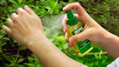 Alcohol En Gel, Natural Mosquito Repellant, Types Of Insects, Lemon Eucalyptus, Tick Prevention, Pepper Plants, Natural Insect Repellant, Bug Repellent, Garden Guide