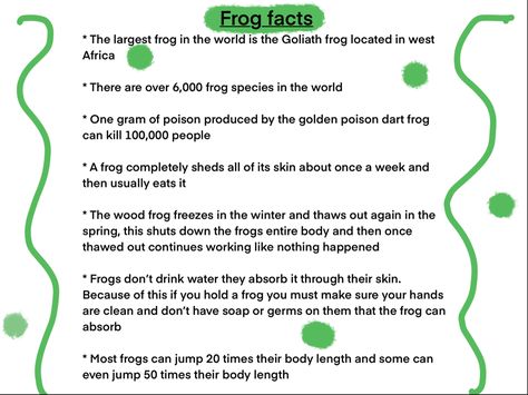 Frog Facts, Frog Species, Green Tree Frog, Wacky Holidays, Pond Life, Educational Poster, Dart Frog, Leap Year, Homeschool Science