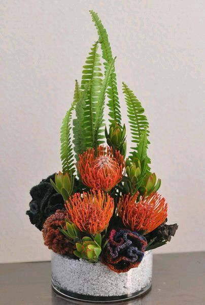 Nephrolepis Cordifolia, Crochet Coral, Tropical Arrangements, Fresh Flower Arrangement, Modern Floral Arrangements, Tropical Flower Arrangements, Hotel Flowers, Small Flower Arrangements, Unique Floral Arrangements