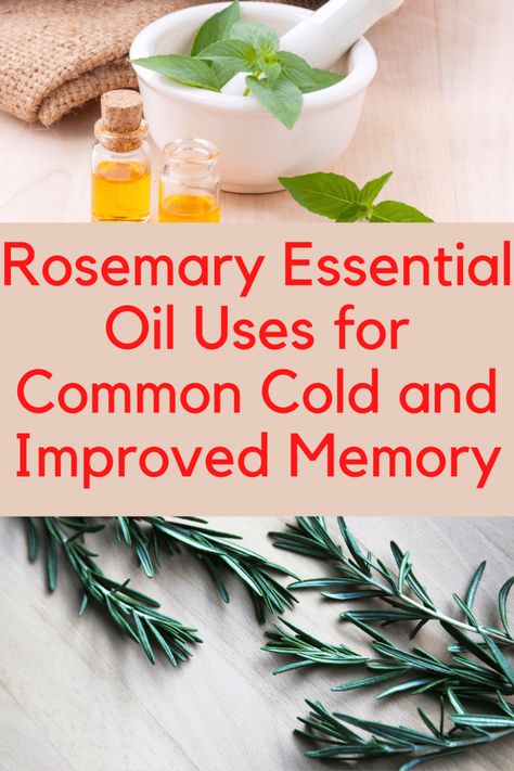 Rosemary Essential Oil Benefits, Rosemary Oil Benefits, Antiviral Essential Oils, Rosemary Oil For Hair Growth, Diy Herbal Remedies, Growing Healthy Hair, Rosemary Oil For Hair, Rosemary Plant, Rosemary Essential Oil