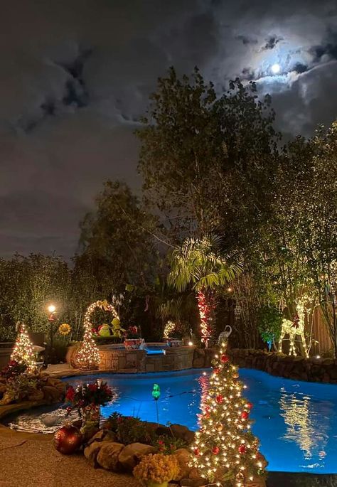 Christmas Pool Decorating Ideas, Christmas Pool Decor, Christmas Pool Decorations, Christmas Backyard Decor, House Xmas Lights, Backyard Christmas Decor Ideas, Christmas Backyard, Lights Backyard, Christmas In July Decorations