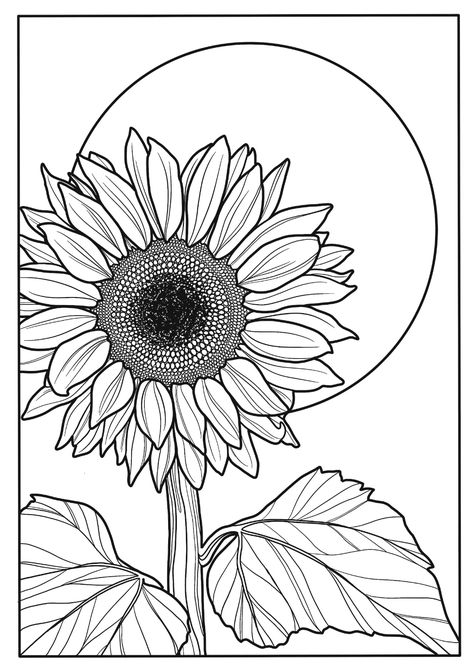 Sunflower A4 Printable Colouring Page Art Relaxing - Etsy Australia Traceable Coloring Pages, Coloring Pages Aesthetic Flowers, Sunflower Pattern Free Printable, Nature Colouring Pages, Printable Coloring Pages For Adults Simple, Colouring Pages For Adults Aesthetic, Colouring Pages Aesthetic, Sunflower Coloring Page, Sunflower Sketches