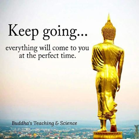 Bhudha Quotes On Peace, Buda Quotes, Ancient Wisdom Quotes, Buddha Thoughts, Buddha Wisdom, Buddha Quotes Life, Buddhist Wisdom, Life Choices Quotes, Art Meditation