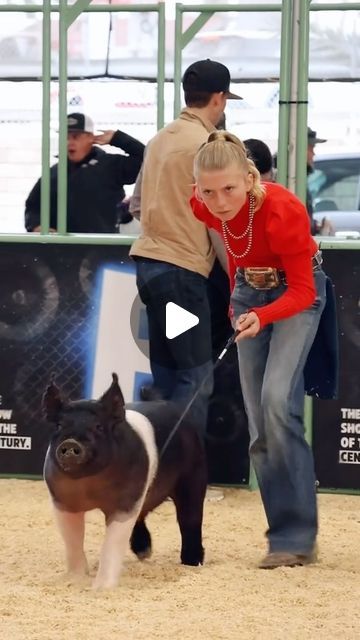 Dadson Farms Show Pigs on Instagram: "Krew and Karis at The Revival Livestock Show! #showpigs #pigshow #hogshowman" Pig Show Outfits, Livestock Show Outfits Pigs, Livestock Outfits, Pigs Farming Livestock, Types Of Pigs, Livestock Show Outfits, Showing Pigs, Show Lambs, Show Sheep