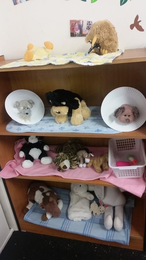 Veterinarian Clinic Dramatic Play, Animal Rescue Dramatic Play, Vet Dramatic Play Preschool, Vet Role Play Eyfs, Vet Office Dramatic Play, Pets Dramatic Play Preschool, Dramatic Play Vet Clinic, Pet Vet Dramatic Play, Veterinarian Dramatic Play