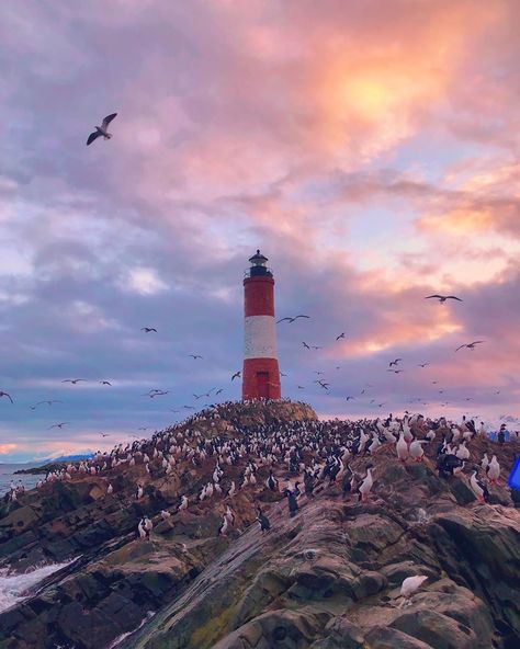 Ushuaia, Watch Wallpaper, Visual Inspiration, Watercolor Inspiration, Travel Inspo, Bolivia, Patagonia, Lighthouse, Chile