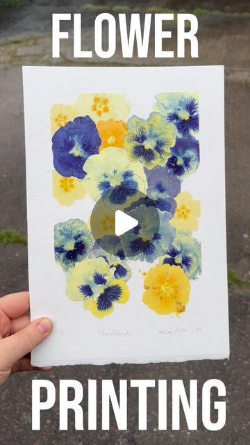 Ismay Rose on Instagram: "I’ve got some more flower printing for you today 🌺

This one’s a bit more ambitious than ones I’ve done before because I’m trying to find the best way of layering the flowers while maintaining a clean edged print because the pigment is very transparent. What do you think? 

#printmaking #flowerpressing #flowerart #smallbusiness #flowers #print #printmaker" Pounded Flower Art Diy, Flower Printing On Paper, Pounded Flower Art, Pressed Flower Print, Flower Pounding On Paper, Hammered Flower Art, Geli Print, Kids Printmaking, Pounded Flowers