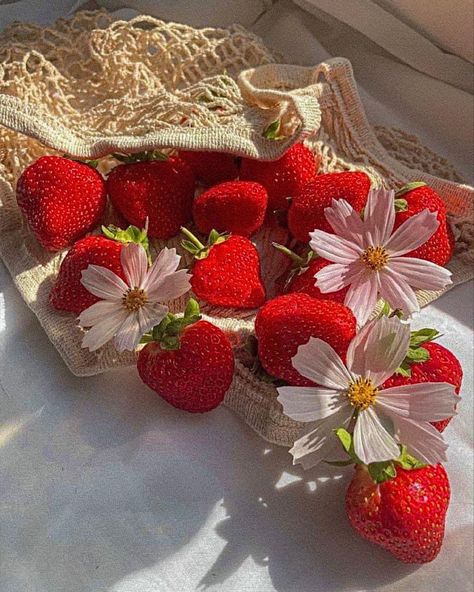 Strawberry Summer, Soft Pink Theme, Cute Backgrounds For Phones, Picnic Date, Online Quiz, Generate Leads, Red Strawberry, Strawberry Fields, Increase Sales