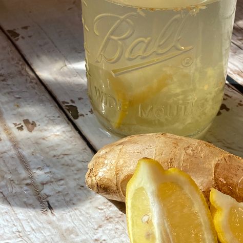 aesthetic ginger tea photo Ginger Aesthetic Food, Gut Healing Aesthetic, Mason Jars Aesthetic, Mason Jar Aesthetic, Helena Aesthetic, Lemon Shots, Healing Aesthetic, Ginger Lemon Tea, Aesthetic Tea