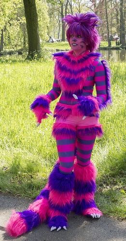 Cheshire Cat Costume Chesire Cat Costume, Cheshire Cat Cosplay, Chester Cat, Cat Costume Kids, Cats Costume, Alice In Wonderland Costumes, Cheshire Cat Costume, Cat Costume Diy, Cheshire Cat Alice In Wonderland