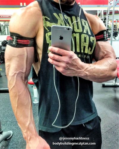 How To Make Your Veins Show Blood Flow Restriction Bfr Training, Best Tasting Protein Powder, Muscle Gain Meal Plan, Muscle Building Meal Plan, Reverse Dieting, Visible Veins, Lower Body Fat, Muscle Building Foods, Big Biceps